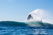 Load image into Gallery viewer, ION Men Wetsuit Element 4/3 Front Zip 2022