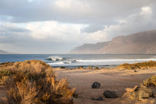 Load image into Gallery viewer, ION Men Wetsuit Element 2/2 Shortsleeve Front Zip 2022