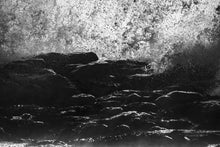 Load image into Gallery viewer, ION Men Wetsuit Element 3/2 Back Zip 2023