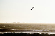 Lade das Bild in den Galerie-Viewer, action_shot