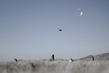 Load image into Gallery viewer, action_shot