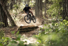 Lade das Bild in den Galerie-Viewer, Herren MTB Jersey Logo DR kurzarm