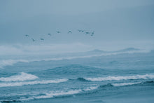 Load image into Gallery viewer, ION Men Wetsuit Seek Amp 6/5 Hood Front Zip 2024