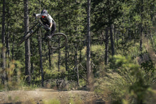 Load image into Gallery viewer, ION MTB Gloves Scrub 2022