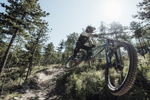 Load image into Gallery viewer, ION MTB Gloves Scrub 2022