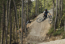 Load image into Gallery viewer, ION MTB Gloves ION Logo 2024