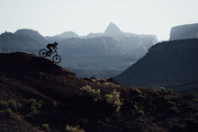 Lade das Bild in den Galerie-Viewer, MTB Protektorenhemd Scrub Amp