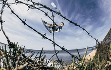 Charger l'image dans la galerie, Duotone Vegas 2024