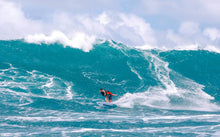 Load image into Gallery viewer, Duotone Pro Session 2019