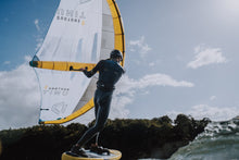 Lade das Bild in den Galerie-Viewer, Arc Wingfoil Trapez