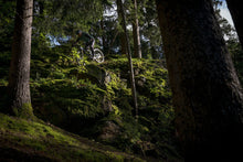 Lade das Bild in den Galerie-Viewer, MTB Weste Thermolite Hybrid Shelter Herren