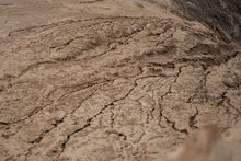 Carica l'immagine nel visualizzatore di Gallery, action_shot