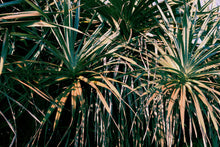 Carica l'immagine nel visualizzatore di Gallery, action_shot