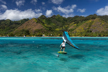 Carica l'immagine nel visualizzatore di Gallery, Duotone Sky Style 2024