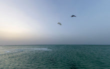 Lade das Bild in den Galerie-Viewer, action_shot