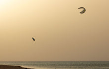 Lade das Bild in den Galerie-Viewer, action_shot