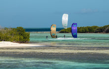 Load image into Gallery viewer, action_shot