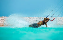 Cargar imagen en el visor de la galería, action_shot