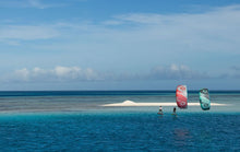 Load image into Gallery viewer, Duotone Neo 2024