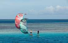 Load image into Gallery viewer, Duotone Neo 2024