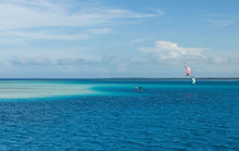 Load image into Gallery viewer, Duotone Neo 2024