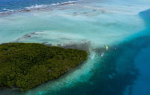 Carica l'immagine nel visualizzatore di Gallery, Duotone Jaime 2024