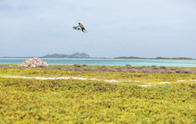 Load image into Gallery viewer, Duotone Select SLS 2024