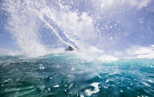 Charger l'image dans la galerie, action_shot