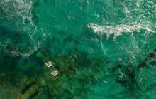 Carica l'immagine nel visualizzatore di Gallery, action_shot