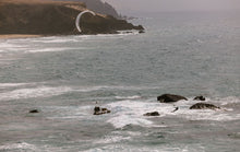 Carica l'immagine nel visualizzatore di Gallery, action_shot