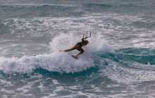 Load image into Gallery viewer, action_shot