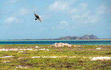 Load image into Gallery viewer, action_shot