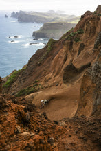 Load image into Gallery viewer, ION MTB Jersey Traze Short-Sleeve Women 2024