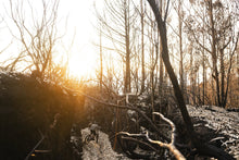 Lade das Bild in den Galerie-Viewer, MTB Shorts Traze Amp AFT Herren