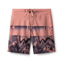 Cargar imagen en el visor de la galería, Duotone Boardshorts DT 19inch men 2023
