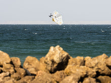 Cargar imagen en el visor de la galería, action_shot
