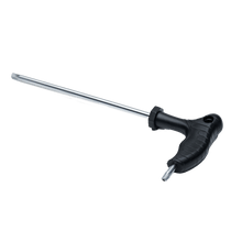 Lade das Bild in den Galerie-Viewer, Duotone Foilpart Torx Key (SS21-onw) 2024
