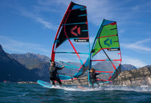 Load image into Gallery viewer, Fanatic Gecko LTD 2022
