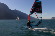 Load image into Gallery viewer, Fanatic Gecko LTD 2022
