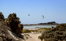 Lade das Bild in den Galerie-Viewer, Duotone Evo D/LAB 2024
