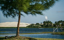 Lade das Bild in den Galerie-Viewer, action_shot
