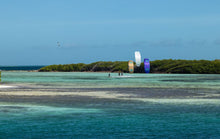 Load image into Gallery viewer, action_shot
