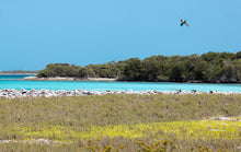 Load image into Gallery viewer, action_shot
