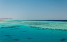 Carica l&#39;immagine nel visualizzatore di Gallery, action_shot
