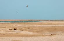 Load image into Gallery viewer, action_shot
