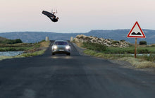 Lade das Bild in den Galerie-Viewer, action_shot