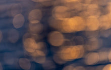 Load image into Gallery viewer, action_shot