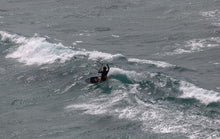 Charger l&#39;image dans la galerie, action_shot
